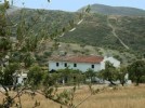 Cortijo Las Almendras - A typical Andalucian farmhouse set in miles of beautiful countryside