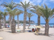Golden Beach - Blue flag 'Arenal' beach